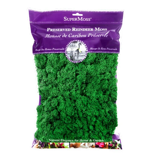 SuperMoss (21757) Reindeer Moss Preserved, Forest, 8oz (200 cubic inch)