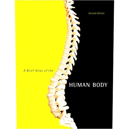 AA A Brief Atlas of the Human Body by Hutchinson, Matt, Mallatt, Jon B., Marieb, Elaine N., Wilhel [Pearson, 2010] ( Spiral-bound ) 2nd edition [Spiral-bound]