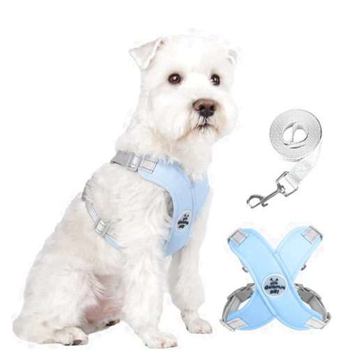 FEimaX Dog Harness Pet X Frame No Pull Step-in Harnesses with Leash Set, Adjustable Reflective Choke Free Puppy with Padded Vest for Small, Medium Dogs and Cats Walking Training