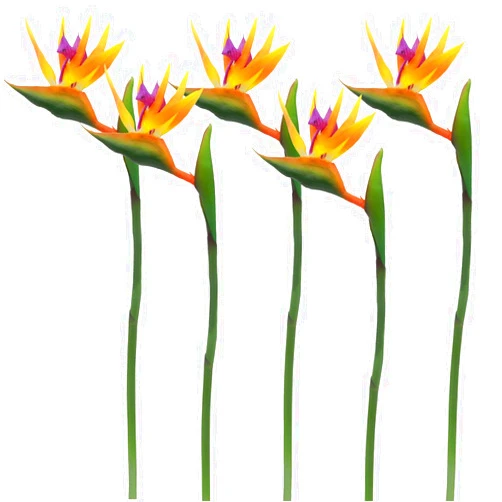 Calcifer 32'' Real Touch Bird of Paradise Artificial Flowers Bouquet for Home Garden Decoration/Wedding Party Decor Orange (Package Quantity: 5 Stems)