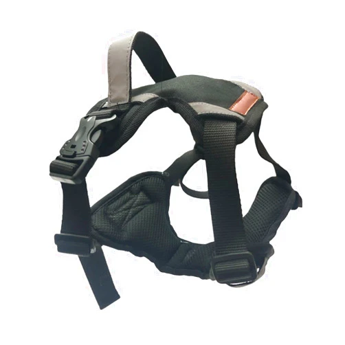 El Perro Inglés Personalized Dog Harness with Custom Name, No-Pull Pet Harness with 2 Leash Clips, Reflective, Adjustable, with Easy Control Handle and Sizes