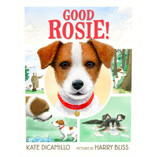 Kate DiCamillo,Harry Bliss Good Rosie!