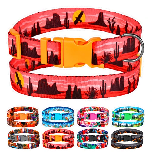 MUROMTO Nature Dog Collar Travel Pattern Adjustable Nylon Pet Collars for Small Medium Large Dogs Puppy Designer Print (Arizona, Neck Fit 12