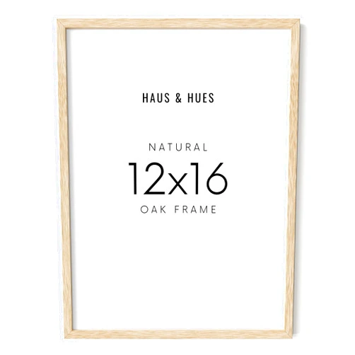 HAUS AND HUES 12