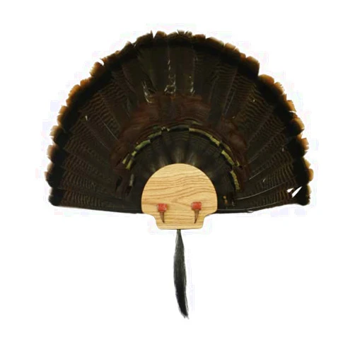 Esh Turkey Fan Mount Kit - Customized State Turkey Tail Mounting Plaque - Natural Oak Wood - Standard