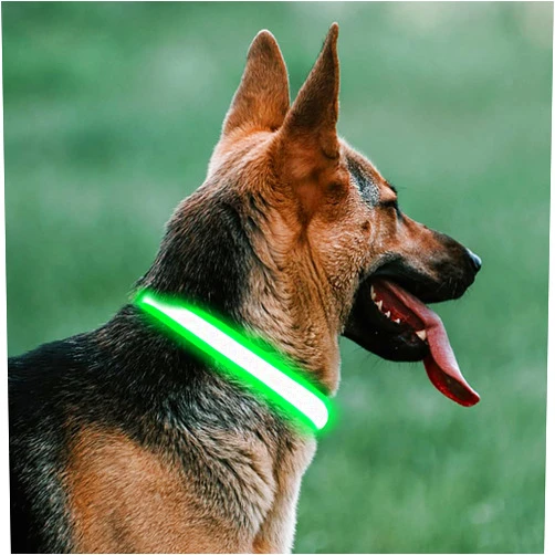 WZXXMY LED Dog Collar, Light Up Pet Collars, Glow in The Dark Dog Collars - USB Rechargeable, Adjustable,3 Flashing Mode ​for Walking The Dog at Night, Green L