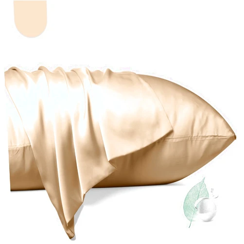 Tender As Water 100% Mulberry Silk Pillowcase 2 Pack,King Size Silk Pillow Cases for Hair and Skin,Silky Smooth Bed Pillow Cover with Hidden Zipper,Natural Silk Pillow Case Set of 2 (Champagne, King 20X36)
