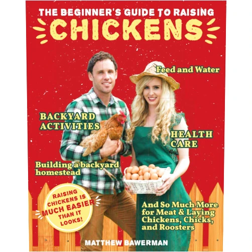 Matthew Bawerman The Beginner's Guide to Raising Chickens: Feed and Water, Health Care, and So Much More for Meat & Laying Chickens