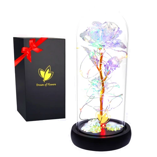 Dream of Flowers Valentines Day Gifts for Her,Beauty and The Beast Rose,Colorful Rainbow Rose Light Up Rose in Glass Dome,Valentines Day Gifts for Wife and Girlfriend,Anniversary,Wedding Gifts