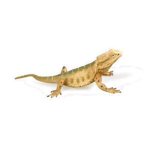 NAKIMO Bearded Dragon Animal Figurine Lizard Toy Realistic Reptile Figures for Decoration, Science Education, Prank Props (Bearded Dragon)