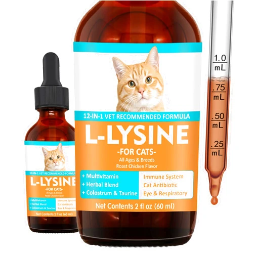 Jollyfit L-Lysine Supplement for Cats – Immune & Respiratory Support, Liquid Lysine for Sneezing, Runny Nose & Eye Health, Chicken Flavor, 60 mL