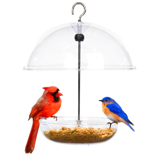 Jacobi Jayne Bluebird Feeder - Jacobi Jayne® Pearl Feeder Dome Bird Feeder for Small Birds - Bluebird Feeder for Mealworms - Platform Bird Feeder Dome Cover - Covered Mealworm Feeder attracts Blue birds