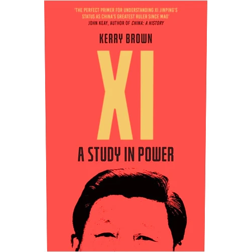 Kerry Brown Xi: A Study in Power