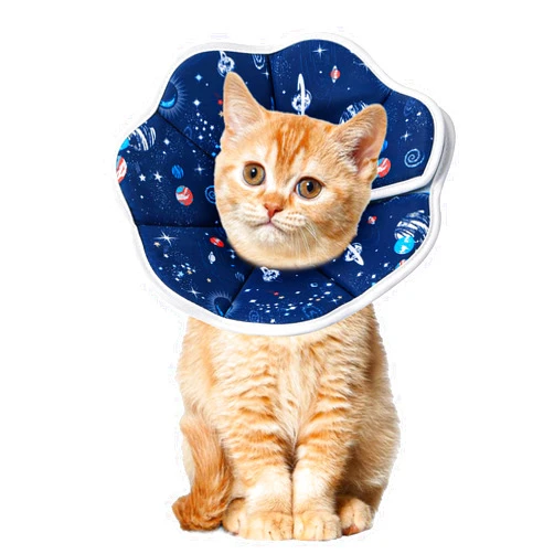Mechpia Cat Cone Collar Soft, Cat Recovery Collar to Stop Licking, Protective Cat Neck Cone After Surgery for Small Medium Cats Kittens