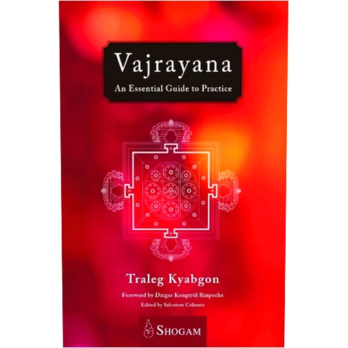 Traleg Kyabgon,Salvatore Celiento Vajrayana: An Essential Guide To Practice