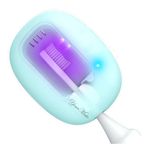 YourMate Rechargerable Toothbrush Sanitizer Case Travel Toothbrush Covers Case with Holder for Houshold and Traving or Business Trip Blue