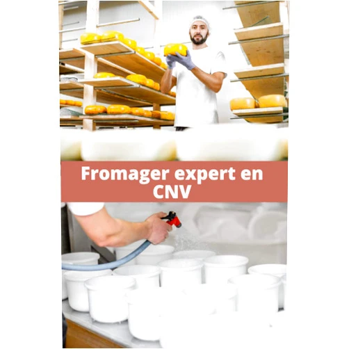Cnv DevPerso Fromager expert en CNV: Réconciliez bien être et performance | Obtenez ce que vous voulez et mettez toutes les chances de votre côté | Cadeau idéal ... pré-remplies | 15 x 23 cm (French Edition)