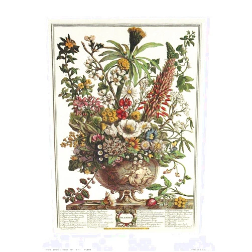 Paper Tole Supply Center Flowers of the Month December Art Print Size 16x20 inches Artist Robert Furber 16-6012