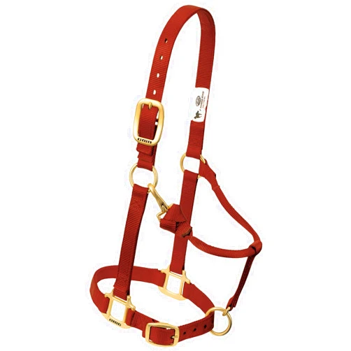 Weaver Leather Weaver Equine Breakaway Horse Halter, Comfort Foam Padding, Adjustable Chin & Throat Snap Halters for Horses, Equine Tack,Average Size