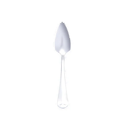 BEIDUOYANG Stainless Steel Grapefruit Spoon For Citrus Fruit Watermelon Dessert Spoon Serrated Edge Ice Cream Dessert Spoon Kitchen Stainless Steel Spoon, Silver