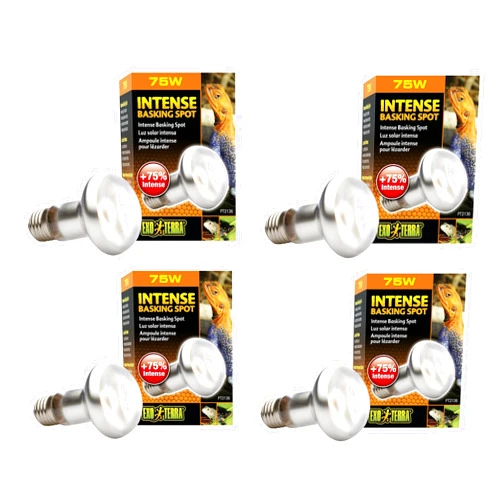 Exo Terra Sun-Glo Basking Infrared Spot Lamp, 75-Watt/120-Volt (4 Pack)