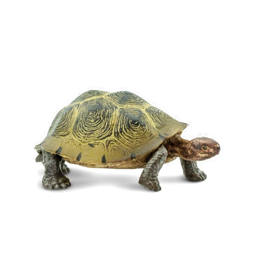 Safari Ltd. Desert Tortoise Figurine - Lifelike 3.25