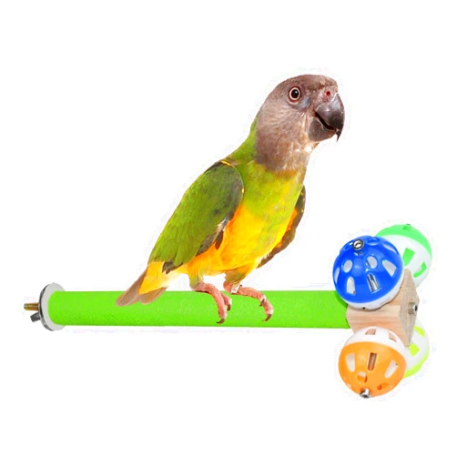 ASOCEA Bird Stand Perch Toy with Rotating Balls,Parrot Perch Toys for Bird Cage Spinning Bird Toys Fun Toy Bird Bell Balls Toy for Budgies Cockatiels Lovebirds(1Pc)
