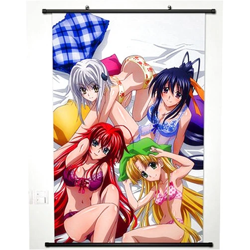 High School DXD New Home Decor High School DXD New Cosplay Wall Scroll Poster Rias Gremory & Himejima Akeno & Toujou Koneko & Asia Argento 23.6 X 35.4 Inches - 045