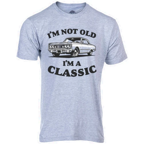 Ann Arbor T-shirt Co. Funny T-Shirt Gifts for Dad | Fathers Day Humor Daddy Joke Regalos Tee Shirts for Men