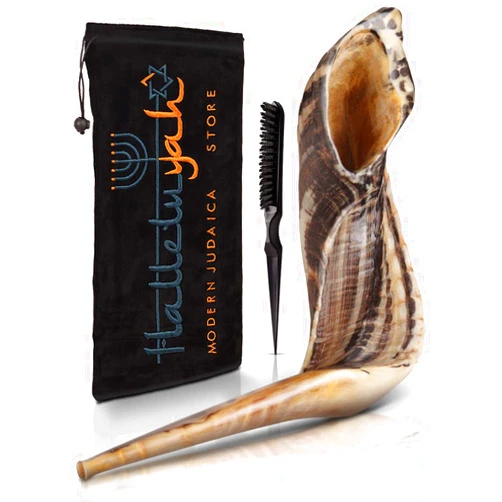 HalleluYAH Shofar From Israel 14