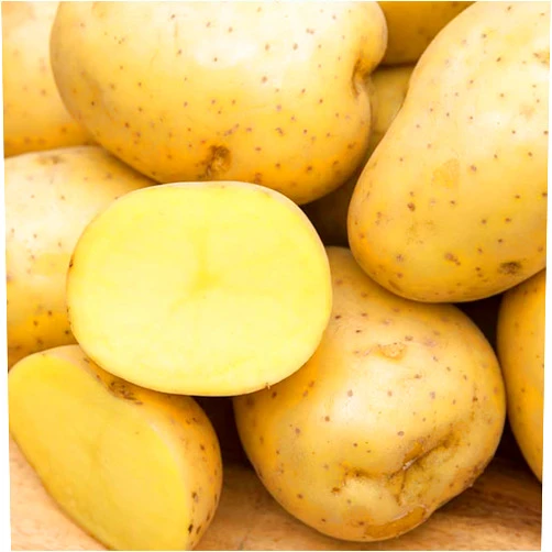 Gurney's Seed & Nursery Company Yukon Gold Seed Potato - Best Early Eating Potato on The Market - Includes one 2-lb Bag - Can't Ship to States of ID, ME, MT, or NE