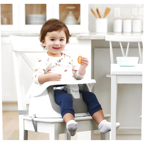 Regalo 2-in-1 Booster Seat and Grow with Me Floor Seat with Removable Feeding Tray, Indoor and Outdoor Activity Chair, Gray