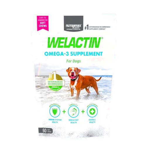 Nutramax Laboratories Nutramax Welactin Daily Omega-3 Supplement For Dogs, Skin & Coat Health Plus Overall Health, 60 Soft Chews