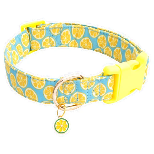 Faygarsle Cute Dog Collar for Girls Boy Dogs Soft Fancy Pet Collar with Lemon Design Ideal Yellow Green Summer Dog Collar for Small Medium Large Dogs L