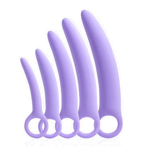 Qaveuny 5 Pack Silicone Pelvic Floor Muscle Dilator Trainer Set,Pelvic Wand Massager for Women，Pelvic Floor Strengthening Device - Purple (with Storage Bag)