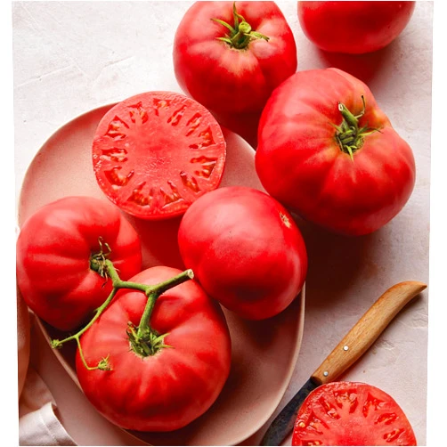 Burpee 'Brandywine', Pink Beefseak Tomato, 90 Non-GMO Seeds