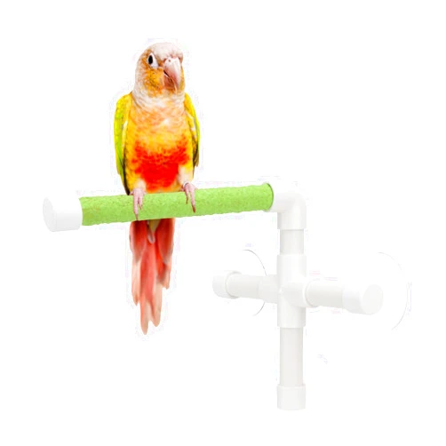 Hypeety Portable Suction Cup Bird Window and Shower Perch Toy for Bird Parrot Macaw Cockatoo African Greys Budgies Parakeet Bath Perch Toy