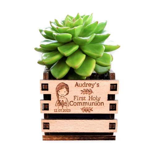Allincork Personalized Mini Pot for Succulent First Communion Favors, Holy communion Gift, Let Faith Grow