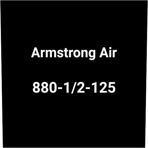 Armstrong International 880-1/2-125 Armstrong Trap 1/2