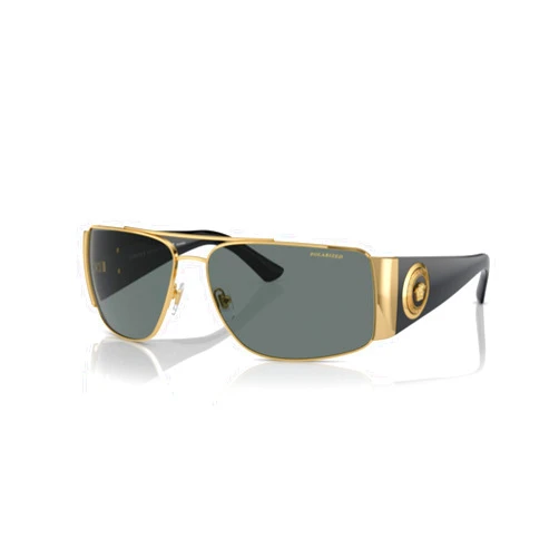 Versace VE2163 Rectangular Sunglasses For Men For Women + BUNDLE with Designer iWear Eyewear Kit