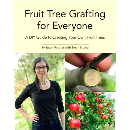 By Susan Poizner (Author), Steve Sanford (Illustrator), John Carvalho (Photographer), Steph Muma (Contributor) & 1 more Fruit Tree Grafting for Everyone: A DIY Guide to Creating Your Own Fruit Trees (The Complete Fruit Tree Grower’s Collection)