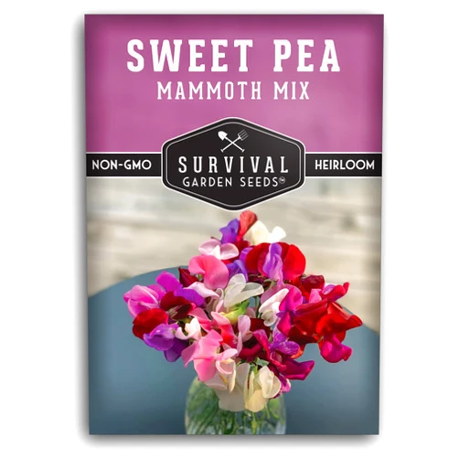 Survival Garden Seeds - Mammoth Sweet Pea Seed for Planting - Packet with Instructions to Plant and Grow Fragrant Blossoms in Your Home Flower and Vegetable Garden - Non-GMO Heirloom Variety