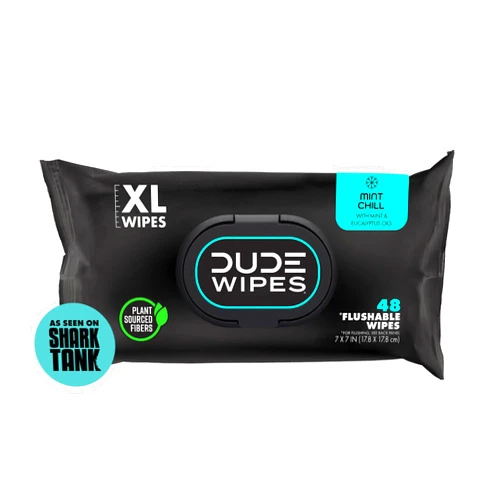 DUDE Wipes Flushable Wipes - 1 Pack, 48 Wipes - Mint Chill Extra-Large Wet Wipes with Eucalyptus & Tea Tree Oil - Sewer and Septic Safe