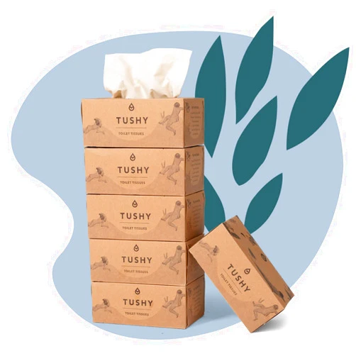 TUSHY Bamboo Toilet Tissue: Individual 4-ply flushable paper (65 per box) for a pillow-soft touch & clean. (Sustainable for the planet. Can also be used to pat dry after bidet use), 24 Pack