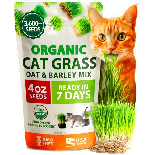 HOME GROWN Organic Cat-Grass Seed Mix (Oat & Barley) – 4 oz – Easy Indoor Planter
