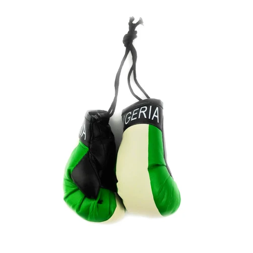 FQQF Red Hat Ent Hanging Car Mirror Mini Boxing Gloves (Nigeria)