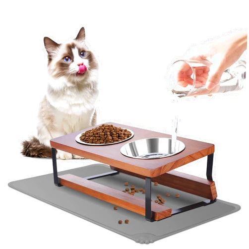 Qyapeixy Elevated Cat Bowls with Food Mat, 2 Stainless Steel Bowls for Food and Water, 15° Tilted Raised Cat Food Feeder for Indoor Cats and Puppy, Brown