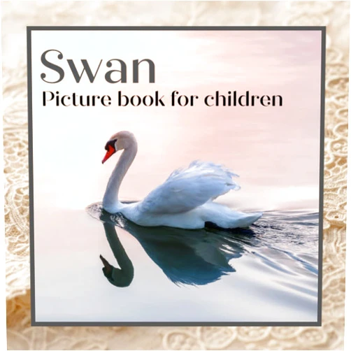 Angie Douni Picture book for children -Swan: Discovering Swan in pictures - Children 2 to 5 years old