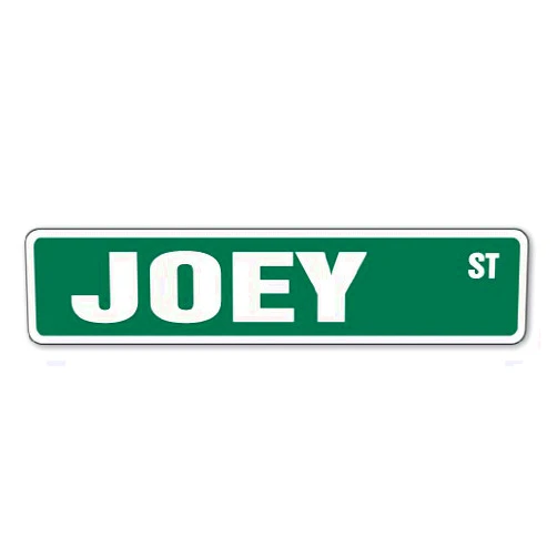 SignMission Joey Street Sign Childrens Name Room Sign | Indoor/Outdoor | 18