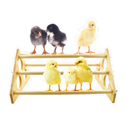 Vehomy Chicken Perch for Chicks Chicken Wood Stand with Holes Chick Stand Trainning Perch Chicken Roost bar for Chicks Chicken Swing Chicken Toy for Hens
